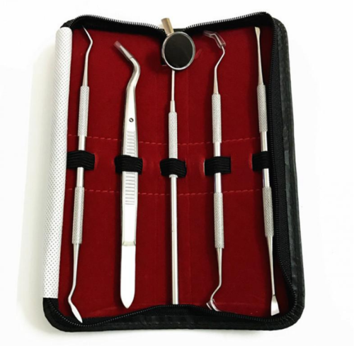 5pc Dental Tool Set Stainless Steel Tooth Scraper Wax Carving Dentist Tool Kit