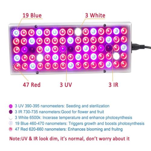 LED Plant Supplement Light For Growing Seedlings In Greenhouses 45 W 1 PC