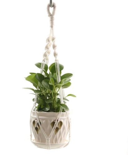 Handmade Plant Hanger For Wall